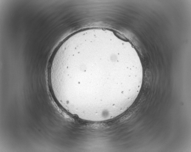 X0000074330998200609230047