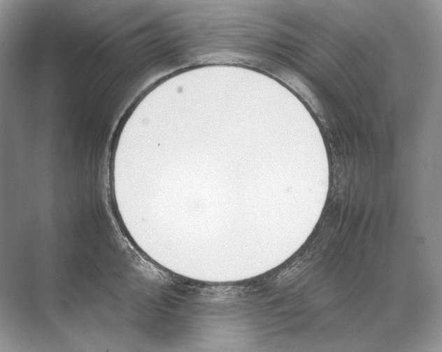 X0000074331000200609230047