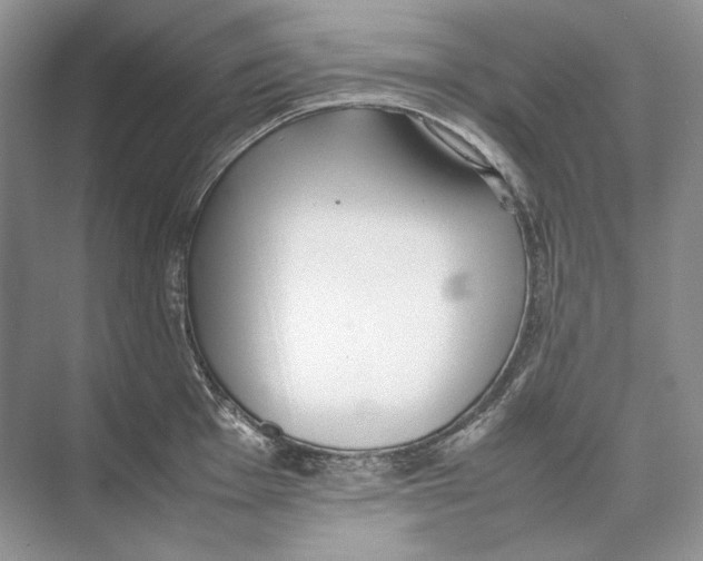 X0000074331001200609230047