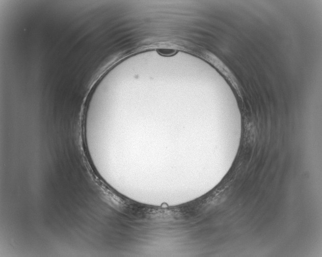 X0000074331002200609230047