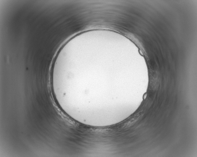 X0000074331004200609230047