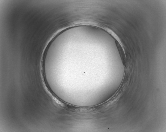 X0000074331005200609230047