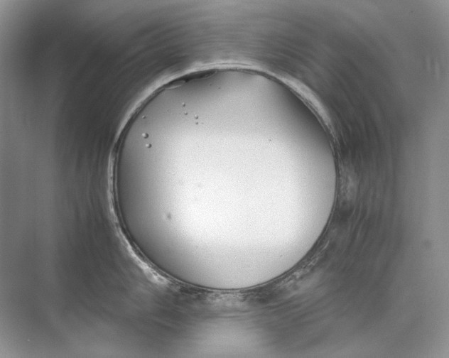 X0000074331006200609230047