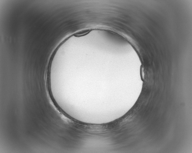 X0000074331007200609230047