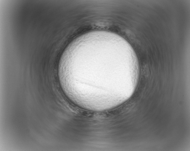 X0000074331009200609230046