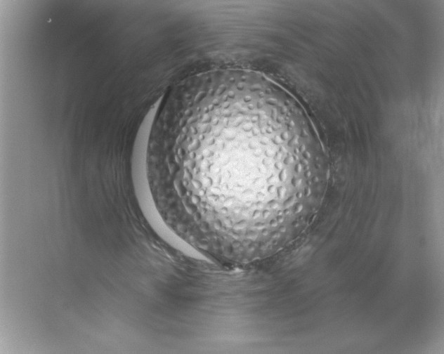 X0000074331010200609230046