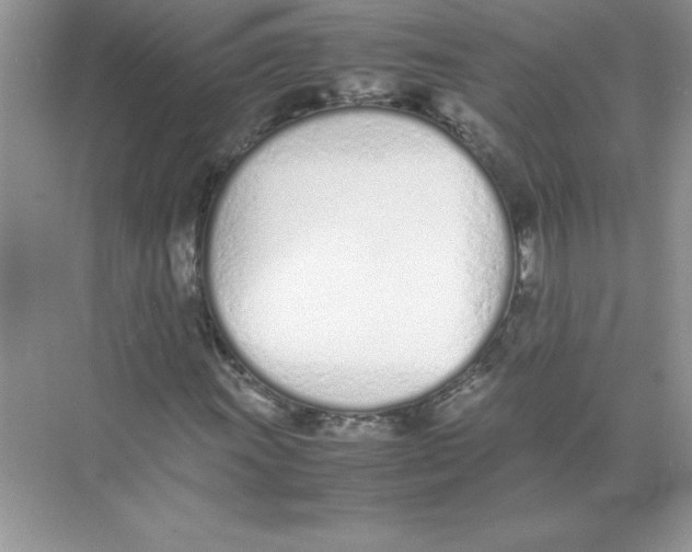 X0000074331011200609230047