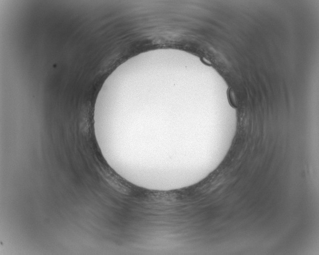 X0000074331012200609230047