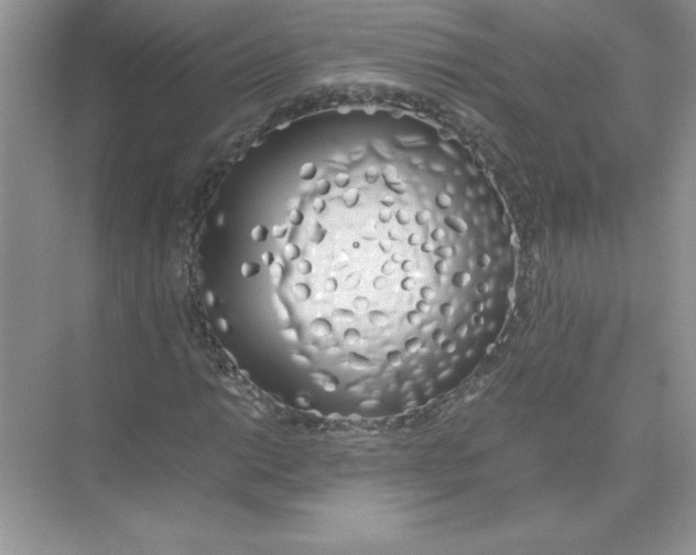 X0000074331014200609230047