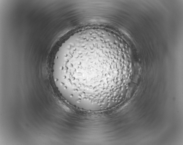 X0000074331018200609230047