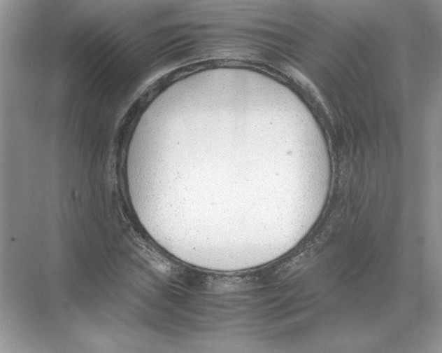 X0000074331019200609230047