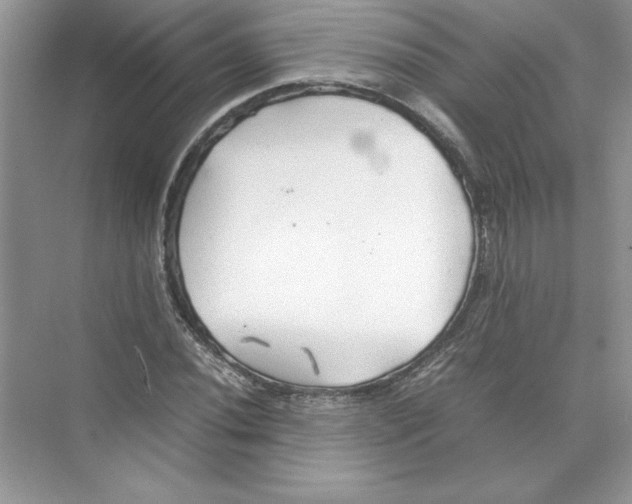 X0000074331020200609230047