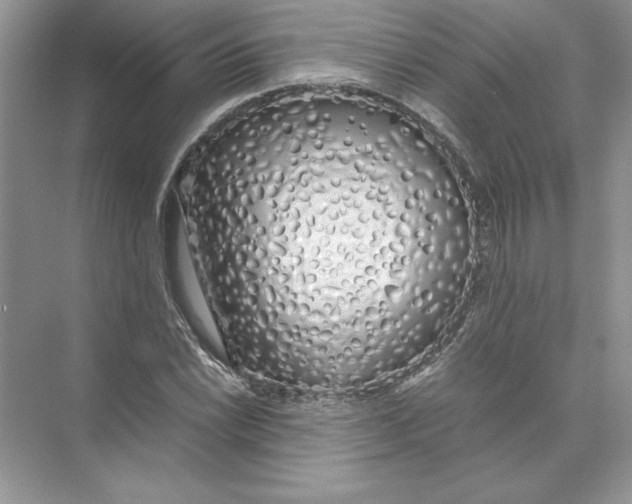 X0000074331022200609230047