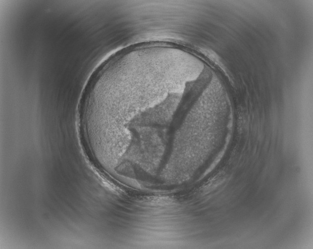 X0000074331024200609230047