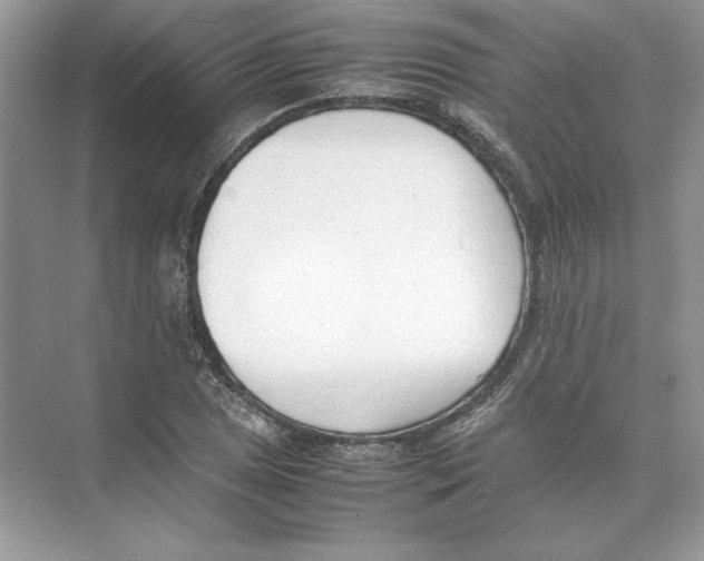 X0000074331025200609230047