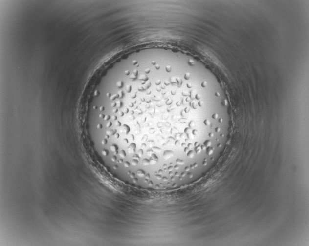 X0000074331026200609230047