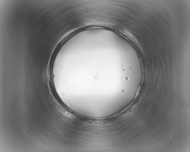 X0000074331028200609230047