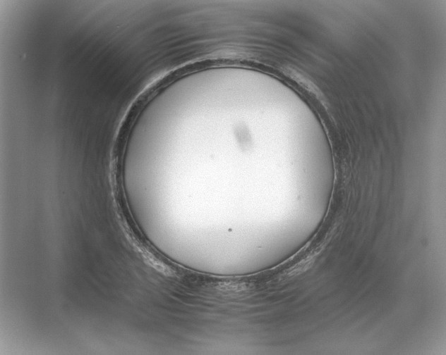 X0000074331029200609230047