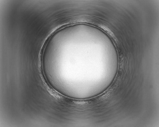 X0000074331031200609230047