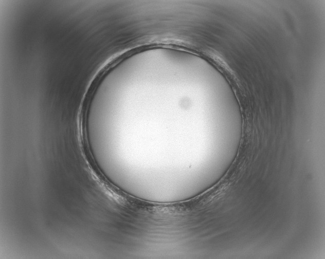 X0000074331032200609230047