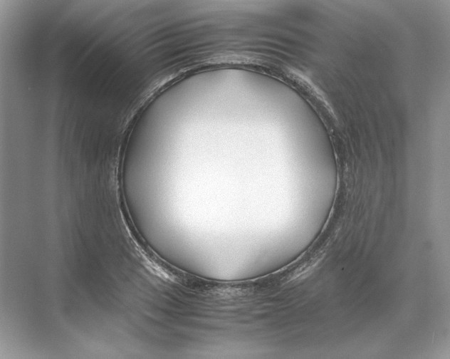 X0000074331033200609230047