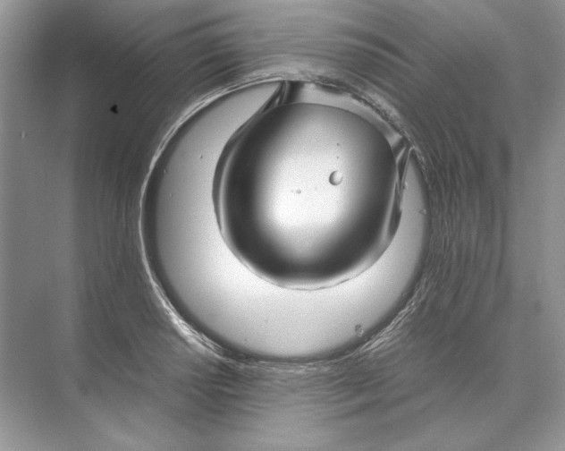 X0000074331034200609230047