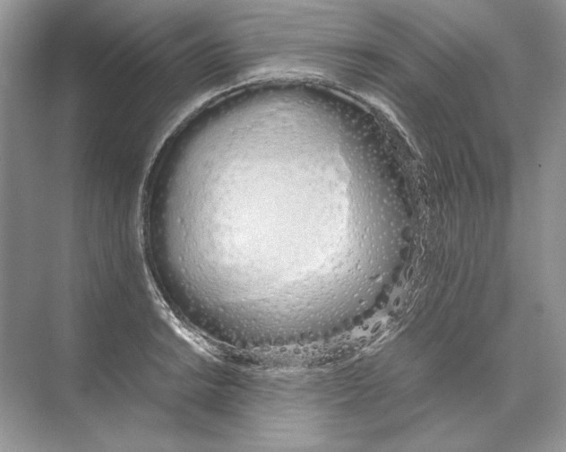 X0000074331038200609230047