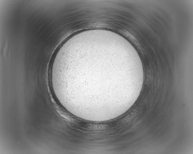 X0000074331039200609230047