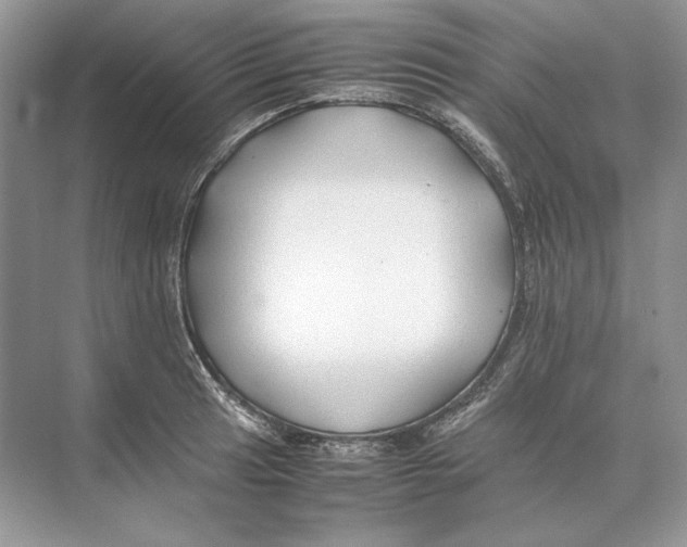 X0000074331041200609230047