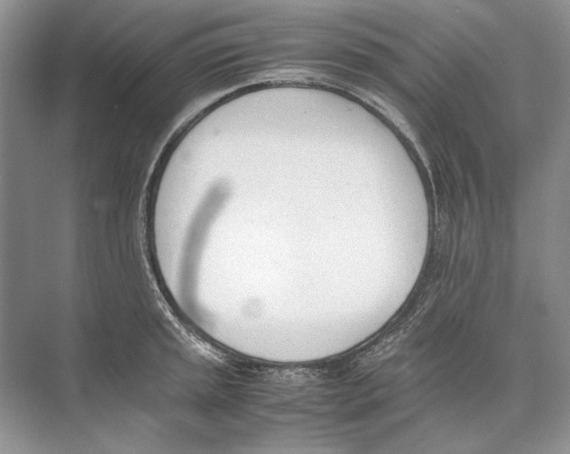 X0000074331045200609230047