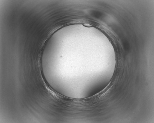 X0000074331049200609230047