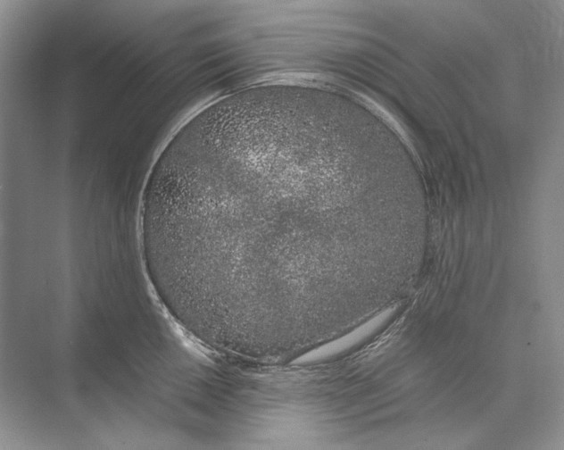 X0000074331050200609230047