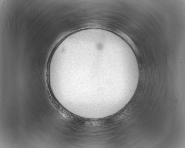 X0000074331051200609230047