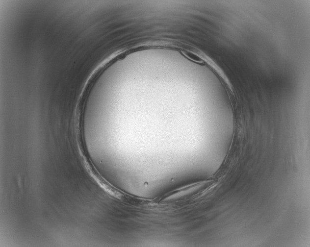 X0000074331053200609230047