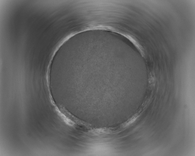 X0000074331054200609230047