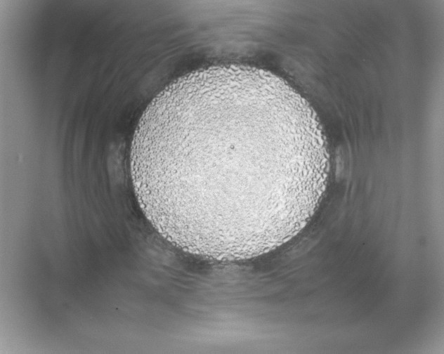 X0000074331059200609230046