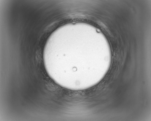 X0000074331063200609230046