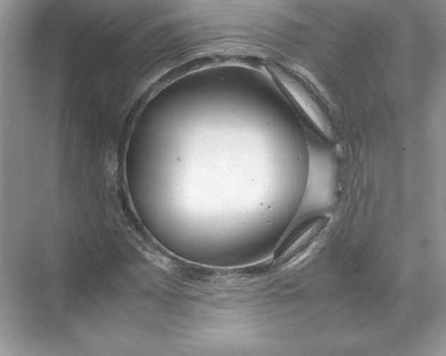 X0000074331065200609230046