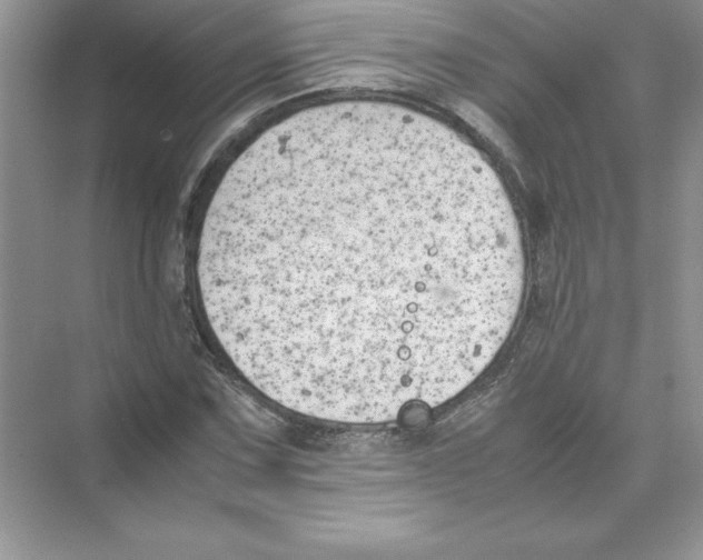 X0000074331067200609230046