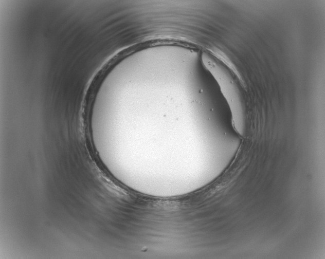 X0000074331068200609230046