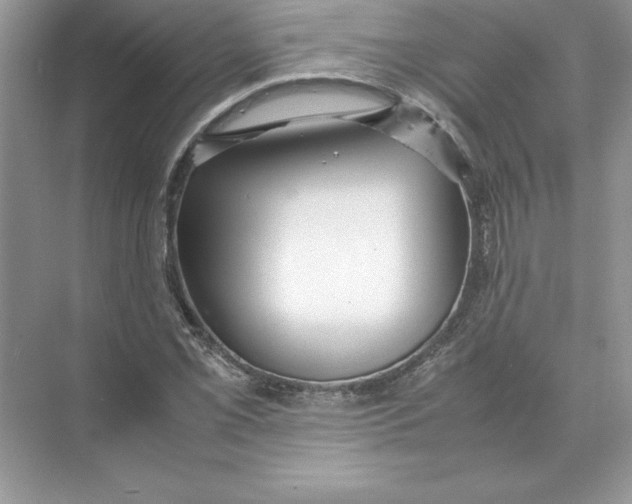 X0000074331069200609230046