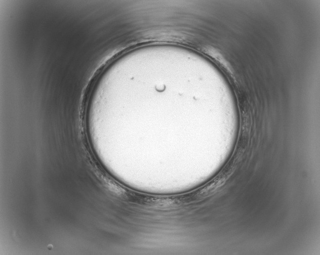 X0000074331071200609230046