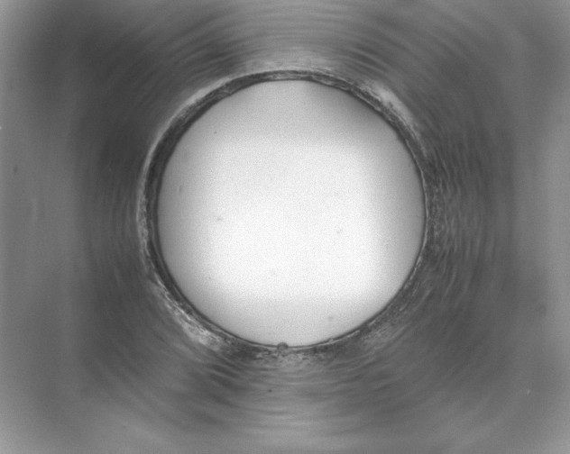 X0000074331072200609230046