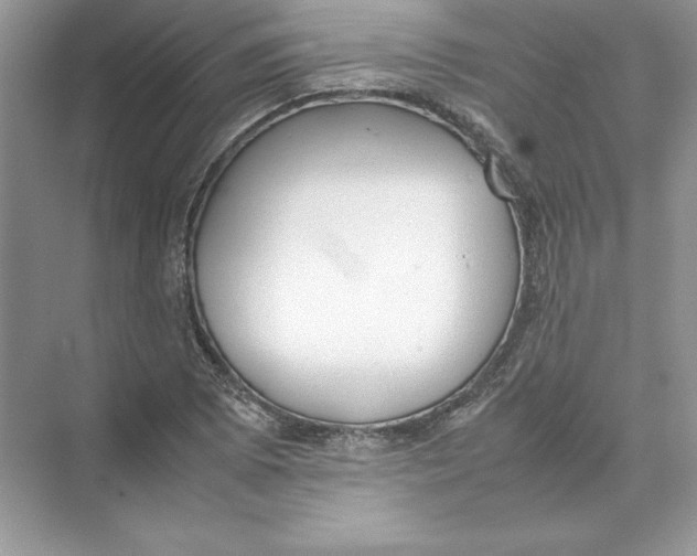 X0000074331073200609230046