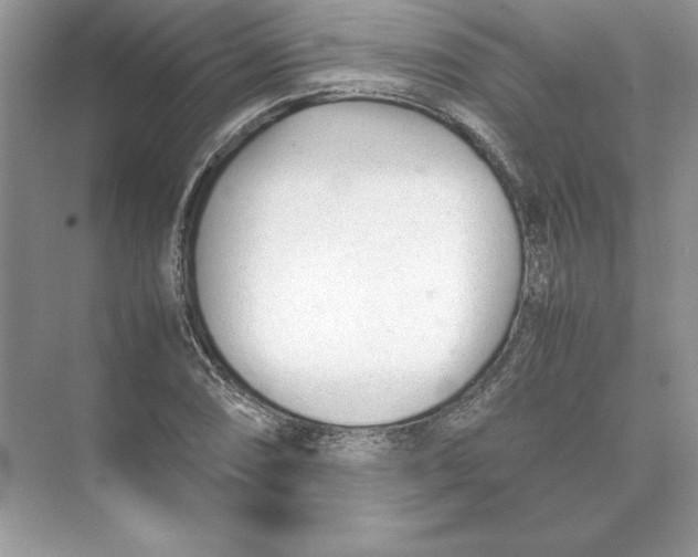 X0000074331074200609230046