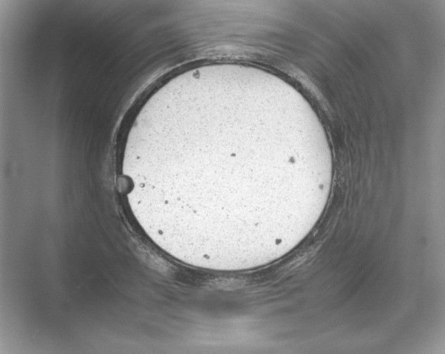 X0000074331075200609230046