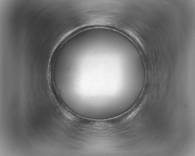 X0000074331077200609230046