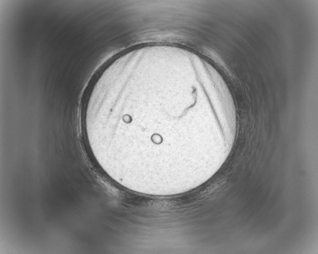 X0000074331079200609230046