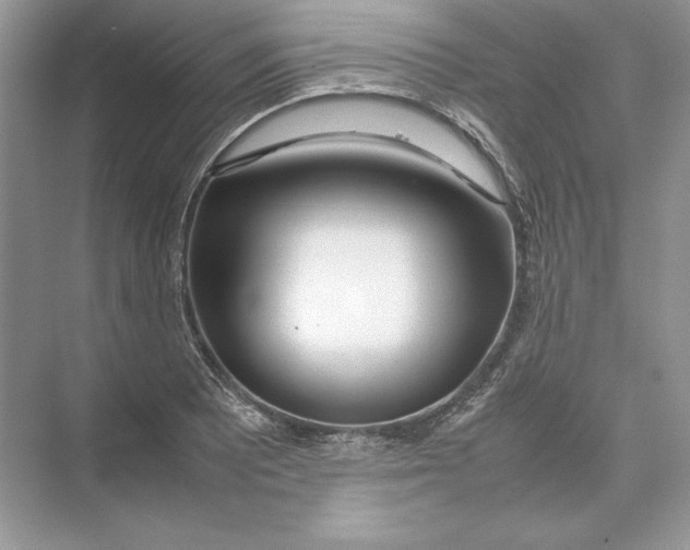 X0000074331081200609230046