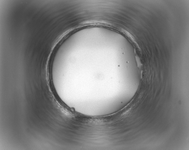 X0000074331082200609230046